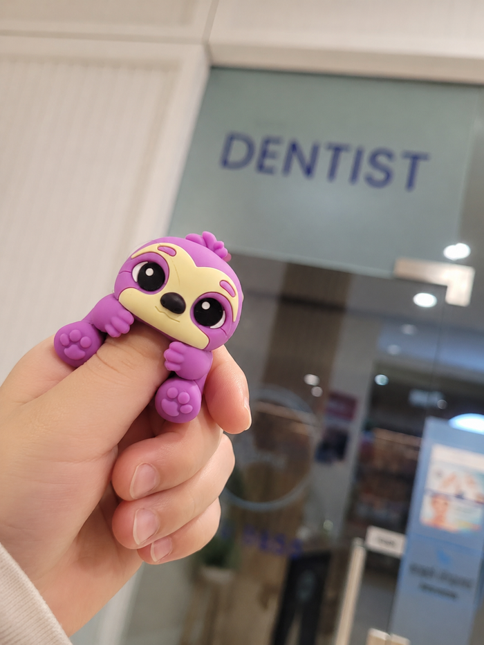 Nibsy at the dentist
